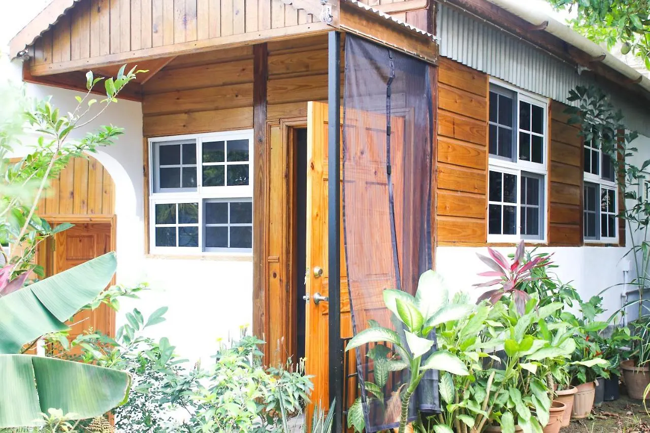 Van Villa Guesthouse Negril Guest house