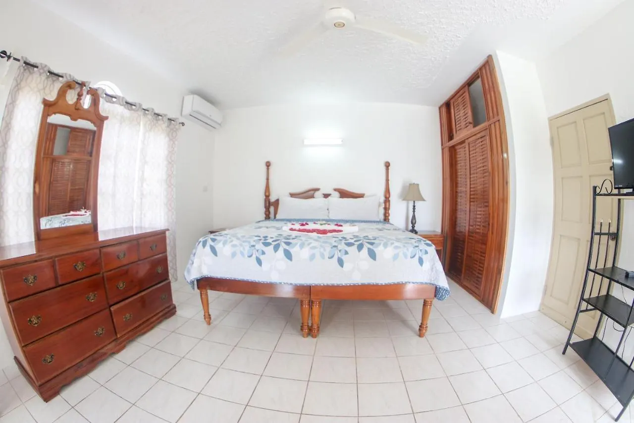 Guest house Van Villa Guesthouse Negril