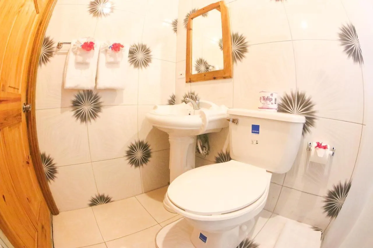 Van Villa Guesthouse Negril 0*,
