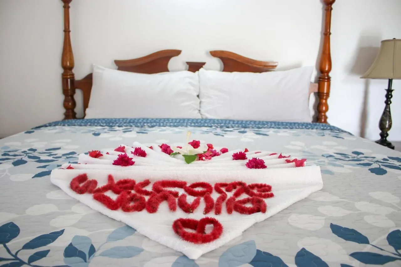Van Villa Guesthouse Negril Guest house